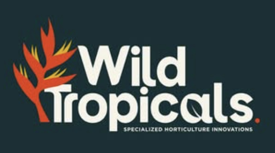 Wild Tropicals