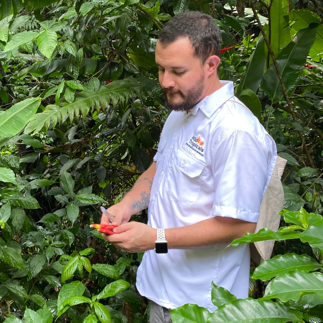 Pablo Verdejo, founder of Wild Tropicals, standing in front of a living plant wall